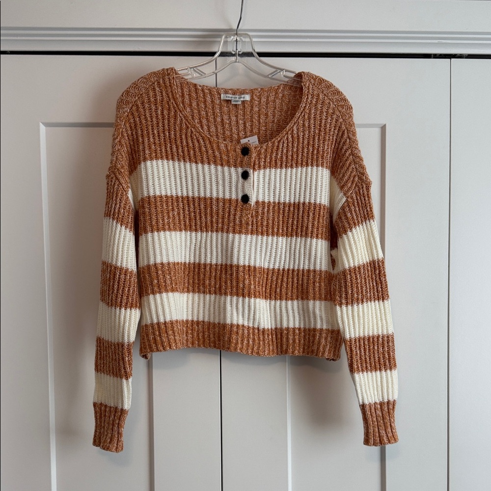 American Eagle Outfitters Cropped Henley Striped Sweater